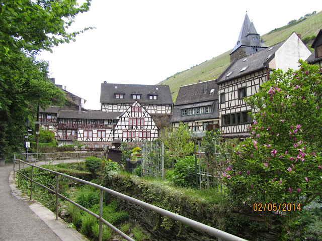 Valles del Rhin, Mosela y un poquito de Alsacia - Blogs de Alemania - Día 2. Orilla izquierda del Rhin (7)