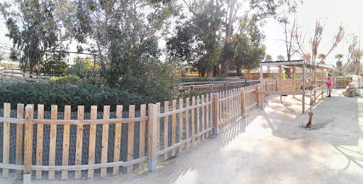 Kid's Island
