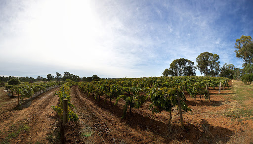 Main image of Pennyweight Winery