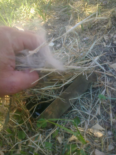 Probando leña podrida carbonizada en lugar de algodón u hongo Foto0124