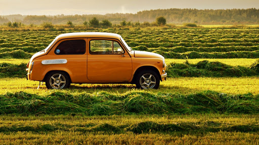 Old Yellow Car & Grasses