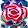 Firas Ghanim Firas Ghanim's profile photo