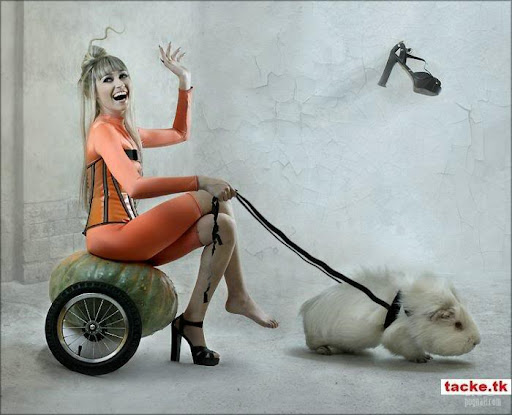 https://lh4.googleusercontent.com/-r6pF4LA2YWo/TuSOurgdBYI/AAAAAAAAR6M/Zd2FTNmuKG0/s512/tnx_digital_art%252520%2525286%252529.jpg