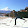 Apple Destiny Apple Destiny's profile photo