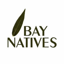 Bay Natives Nursery