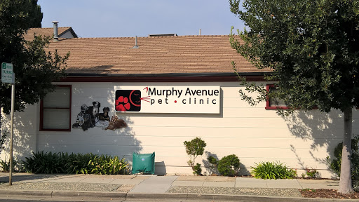 Veterinarian «Murphy Avenue Pet Clinic: Dr. Ken Sawyer, DVM», reviews and photos