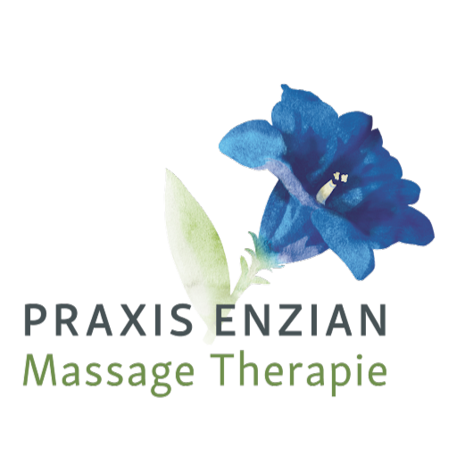 Praxis Enzian logo