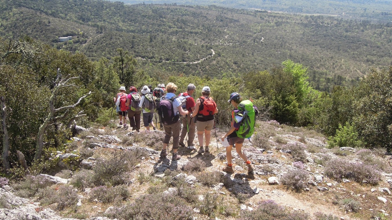 Randonnée à Artigues le jeudi 23 Avril 2015 DSCN0012