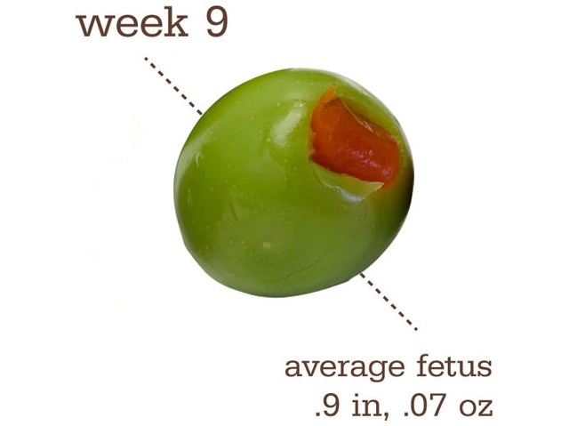 9 недель беременности размер плода. Размер плода фрукты. Фрукты по неделям беременности. 9 Неделя беременности размер плода сравнение с фруктами.