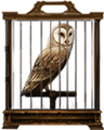 barn-owl