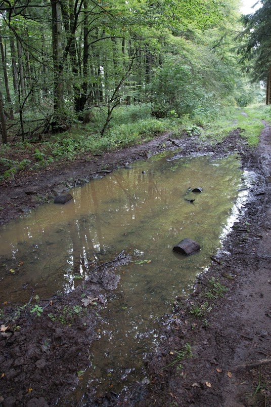 Schuhwerk