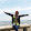 Tiara Restu Swandana Tiara Restu Swandana's profile photo