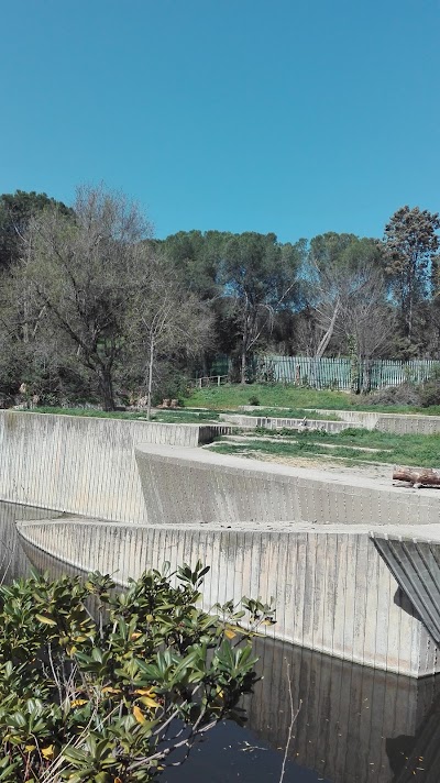 Photos of Madrid Zoo Aquarium