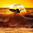 S Devito avatar image
