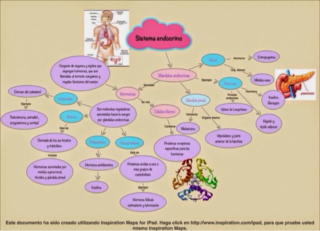 Fisiología Medica: Generalidades De SISTEMA ENDOCRINO