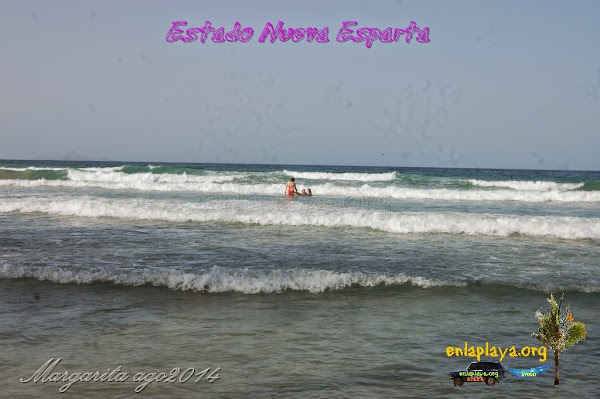 Playa Guacuco NE026, estado Nueva Esparta, Margarita