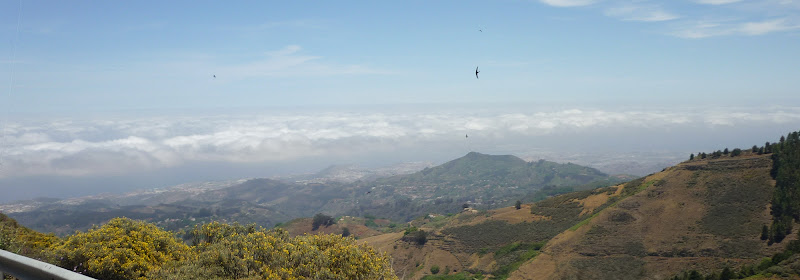 Blick auf den Norden Gran Canarias
