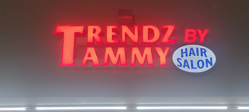 Trendz by Tammy Black Hair Salon logo