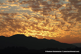 Vivid and Vibrant Evening Sky at Kaziranga - 1