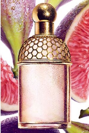 This Blog Really Stinks. (A perfume blog): Perfume Review: Aqua Allegoria  Figue-Iris (Guerlain)