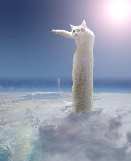 100-Amazing-&-Cool-Funny-Pictures-16 Image alt tage here