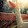 Neil Chou Neil Chou's profile photo