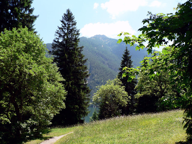 Pertisau Promenade Spazieren Achensee Karwendel Tirol primapage