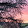 Catherine Siodlak Catherine Siodlak's profile photo