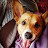 Jenn Rugg avatar image