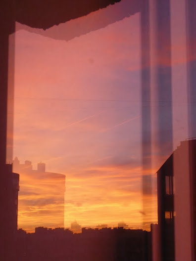 Взгляд сквозь лужу: отражения мира в фотографиях