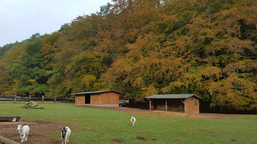 Wild- und Wanderpark Südliche Weinstrasse
