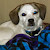 Reviewer Profile Image
