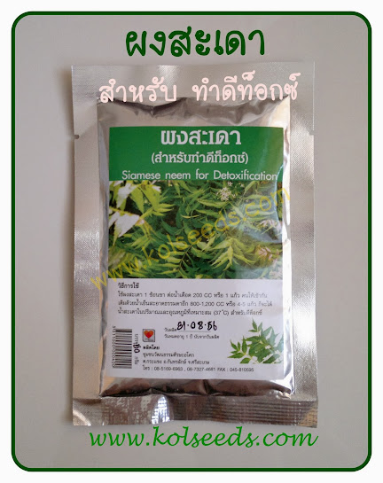 คลิก 1 ครั้ง ที่ภาพเพื่อชมภาพขยาย ผงสะเดา ดับพิษร้อน บำรุงน้ำดี ดีท็อกซ์ ล้างพิษ ขจัดกากอาหารที่ตกค้าง คลิก 2 ครั้งติดกัน เพื่อลดขนาดภาพลงเท่าเดิม ผงสะเดา ดีท็อกซ์ ล้างพิษ ขจัดกากอาหารที่ตกค้าง