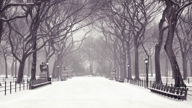 Cover photo