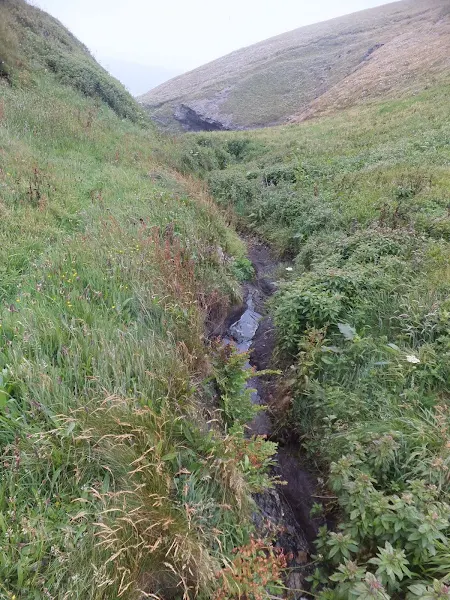 Stream down to Porthcadjack Cove