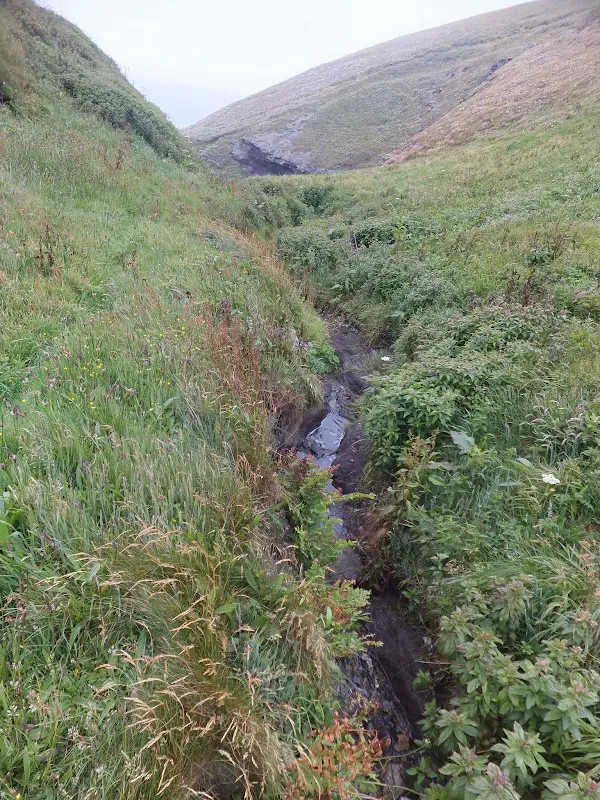 Stream down to Porthcadjack Cove