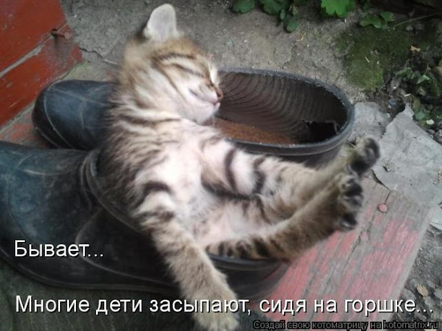 Ни дня без улыбки. У меня такое неприятное чувство, что вы правы Ни дня без улыбки. У меня такое неприятное чувство, что вы правы