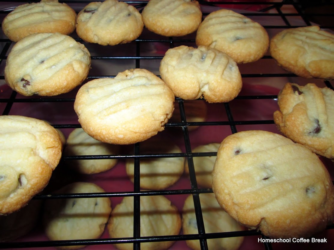 Chocolate Chip Shortbread and other Holiday Sweets and Treats on Homeschool Coffee Break @ kympossibleblog.blogspot.com - A collection of some of our favorite recipes for holiday cookies and other seasonal sweet treats!