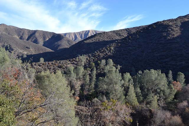 Potrero Canyon with the deck behind