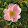 Maria Ionascu Maria Ionascu's profile photo