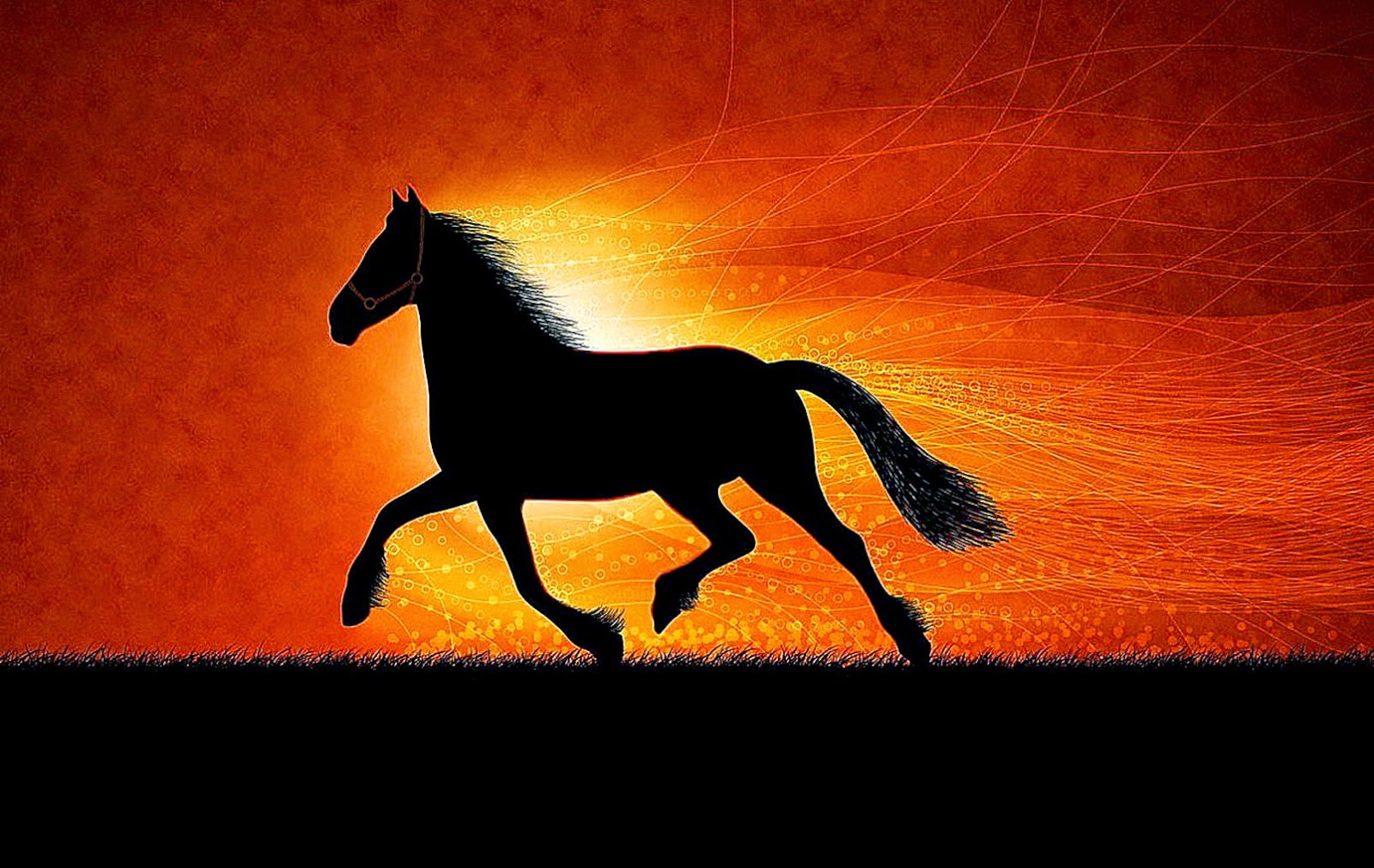 Awesome Horse Wallpaper Background