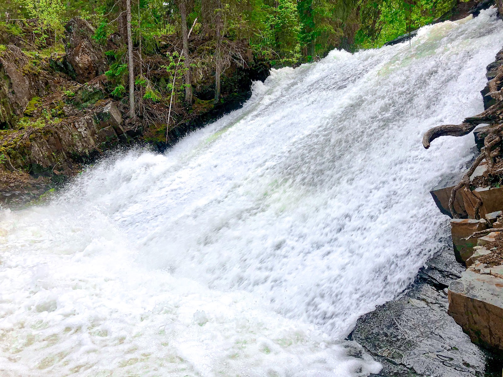 Cherry Creek Falls