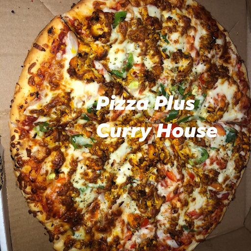 Pizza Plus Curry House (Wyandotte St. E) logo