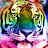 tigercat puppy avatar image