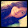 Karina Oliver Karina Oliver's profile photo