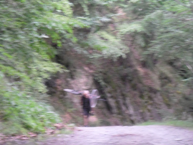 SAM_1305.JPG