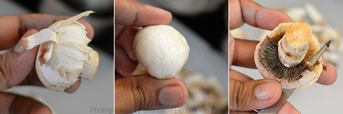 How to clean and cut mushrooms Step2 How to clean and cut mushrooms Step2