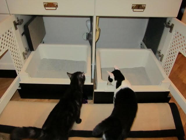 Katzenklo - wo habt ihr sie stehen ?? - Seite 2 - Katzen-Hygiene -  Grinsekatzen - Das Katzenforum für Katzenfreunde
