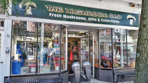 Gift Shop «The Mushroom Cap», reviews and photos, 114 W State St, Kennett Square, PA 19348, USA