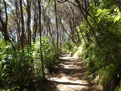 Photos of Bay of Many Coves Resort